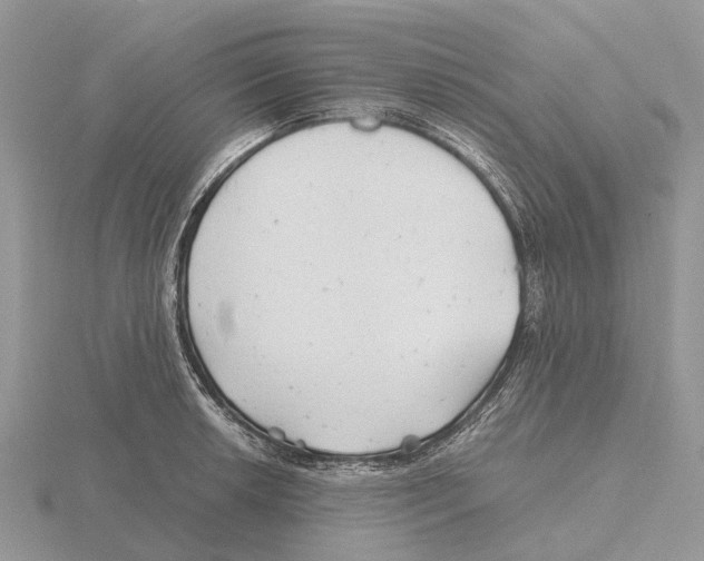 X0000115681042200912101129