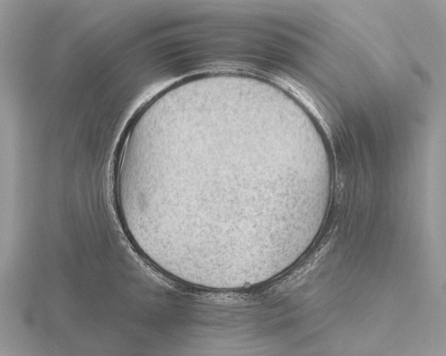 X0000115681045200912101129