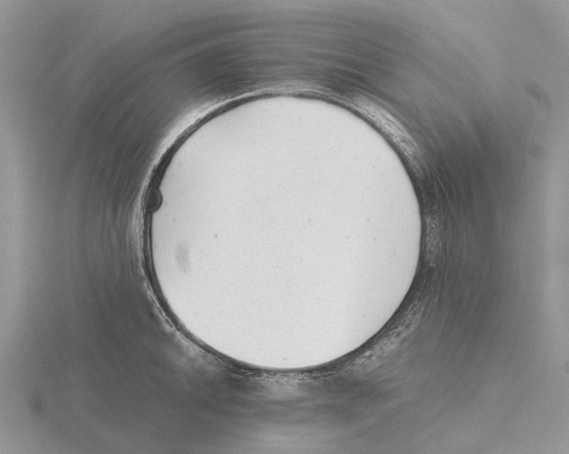 X0000115681046200912101129