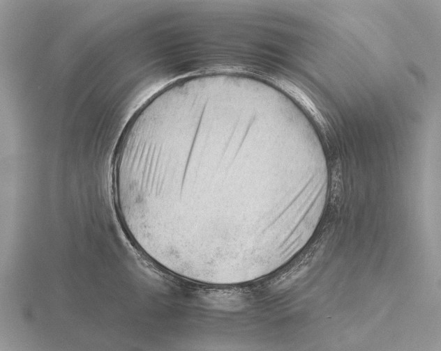 X0000115681047200912101129