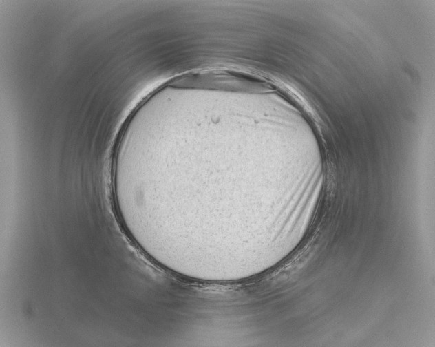 X0000115681048200912101129