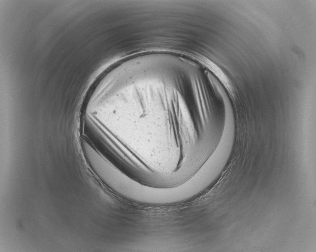 X0000115681051200912101129