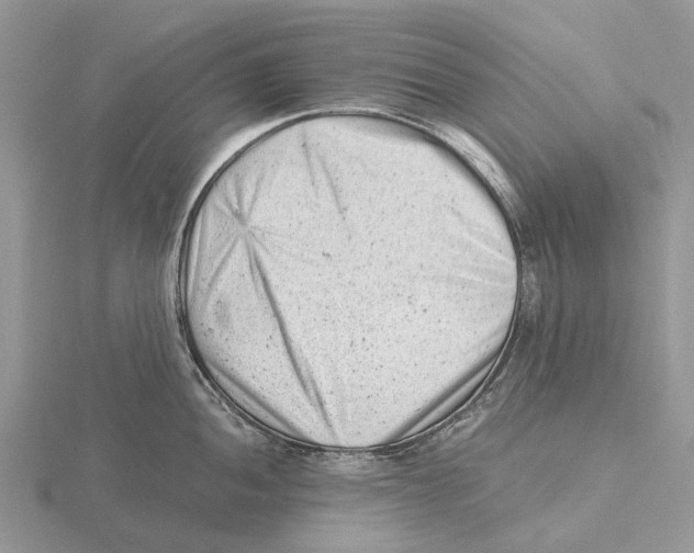 X0000115681052200912101129