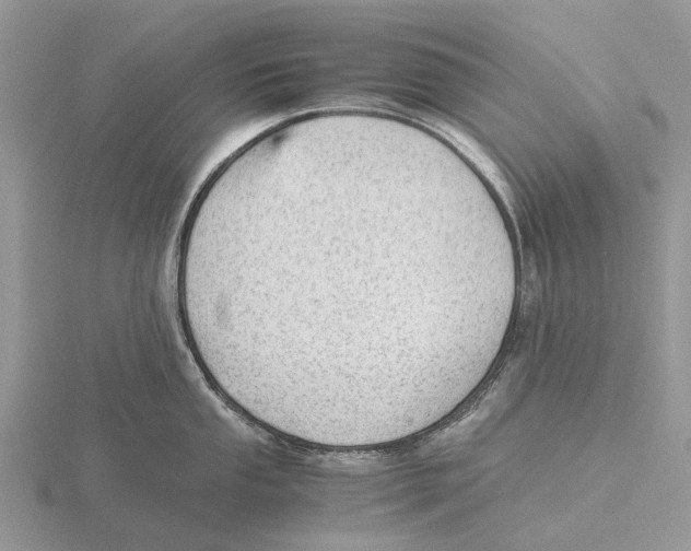 X0000115681053200912101129