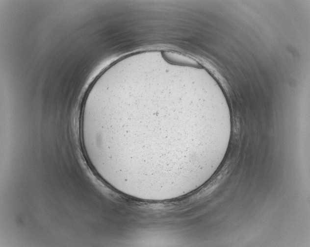 X0000115681054200912101129