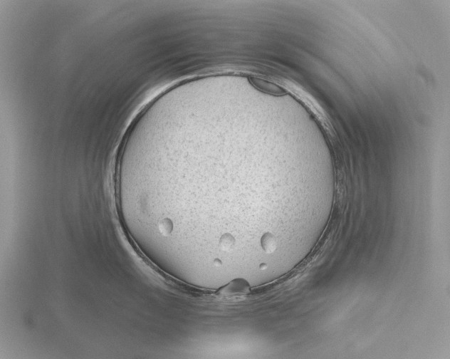 X0000115681055200912101129