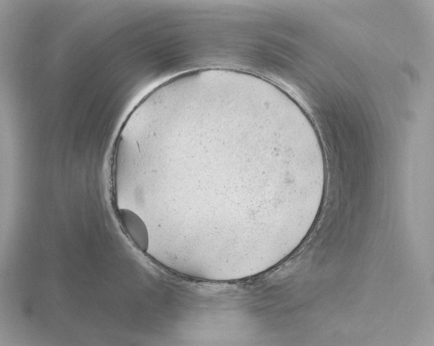 X0000115681056200912101129