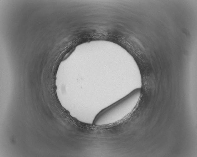 X0000115681057200912101128