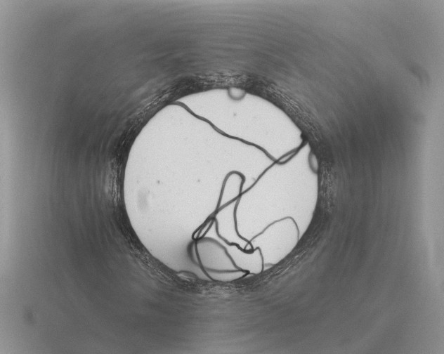 X0000115681058200912101128