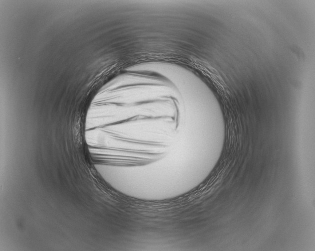 X0000115681060200912101128