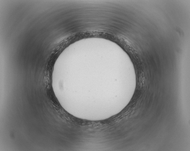 X0000115681062200912101128