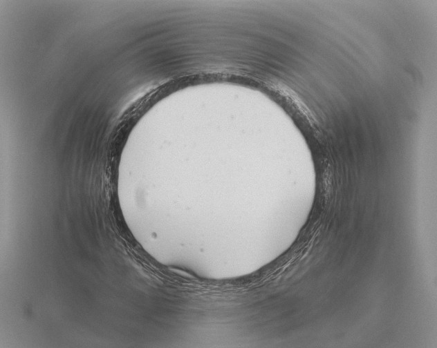 X0000115681064200912101128