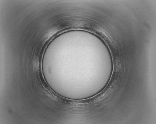 X0000115681065200912101128