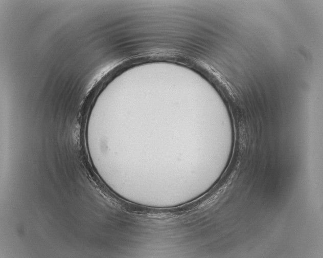 X0000115681066200912101128