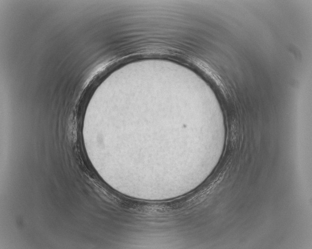 X0000115681067200912101128