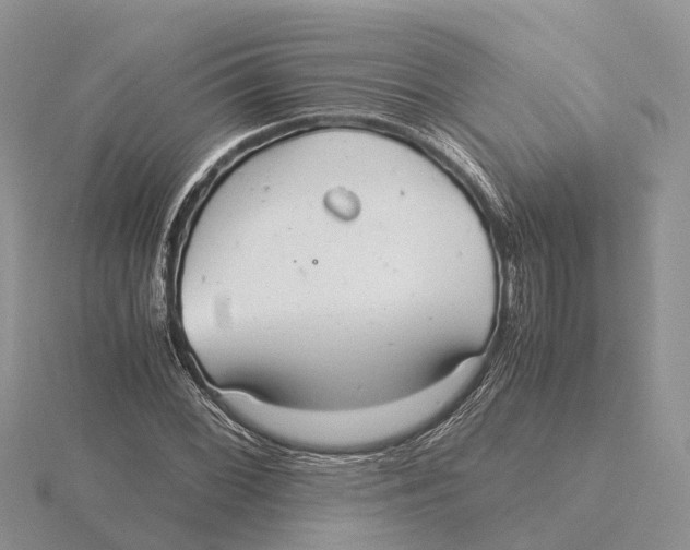 X0000115681068200912101128