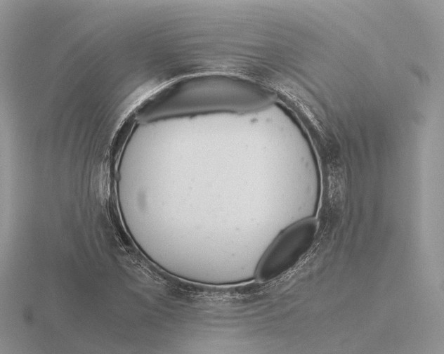 X0000115681069200912101128