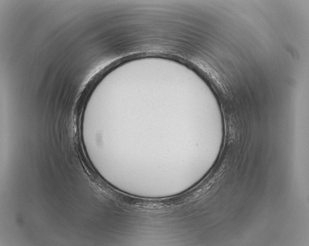 X0000115681070200912101128