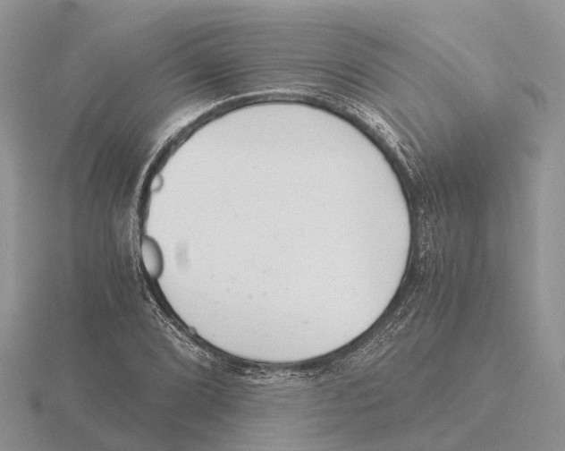 X0000115681072200912101128