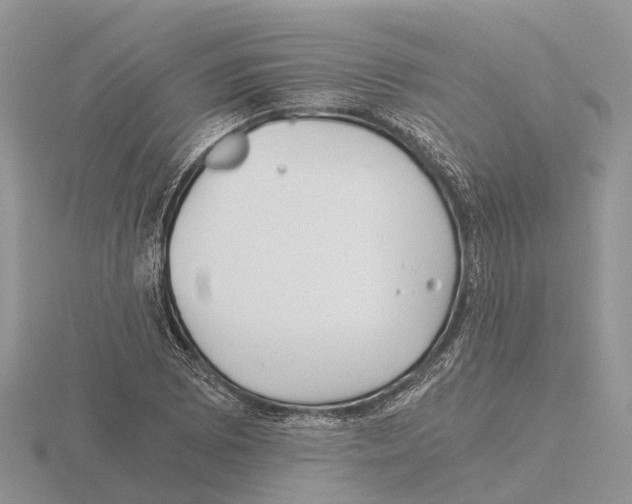 X0000115681073200912101128