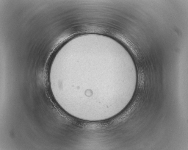 X0000115681074200912101128