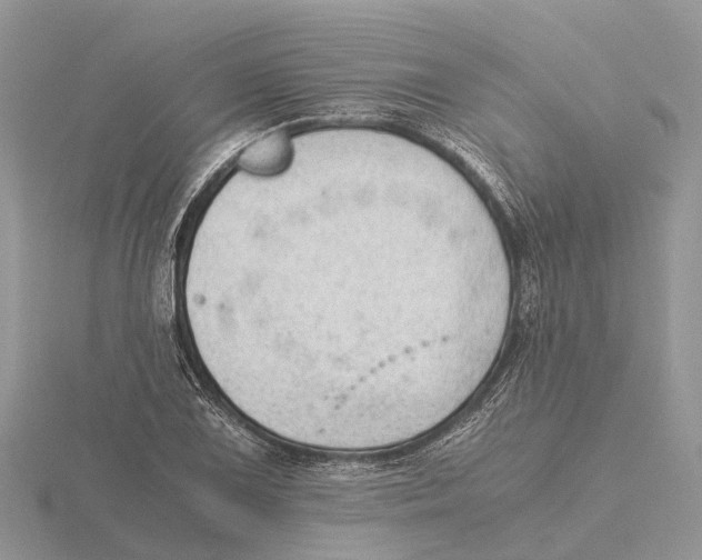 X0000115681075200912101128