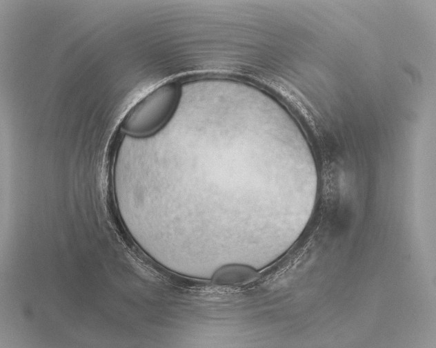 X0000115681077200912101128