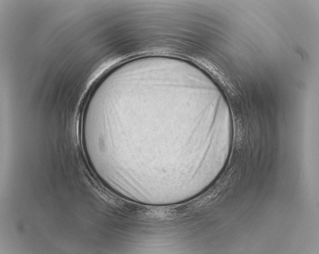 X0000115681078200912101128