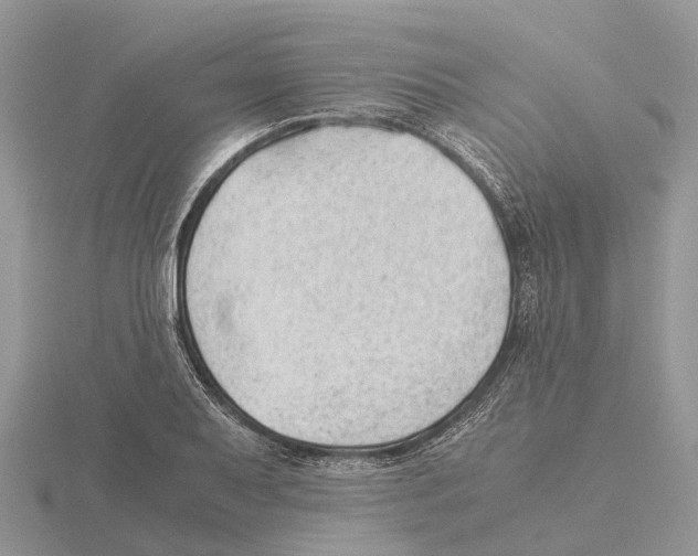 X0000115681079200912101128