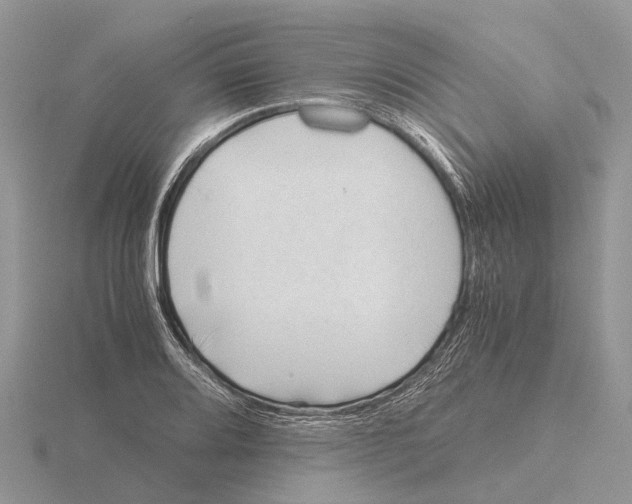 X0000115681080200912101128