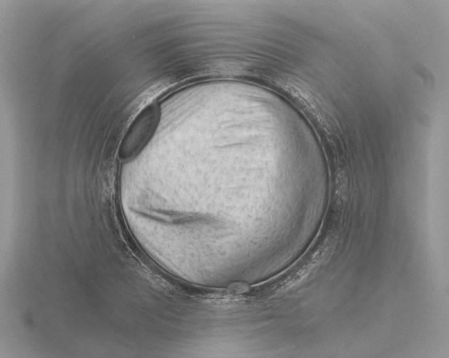 X0000115681081200912101128