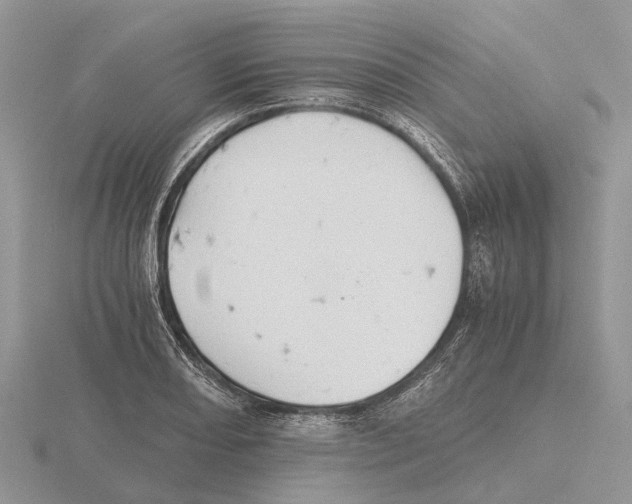 X0000115681082200912101128