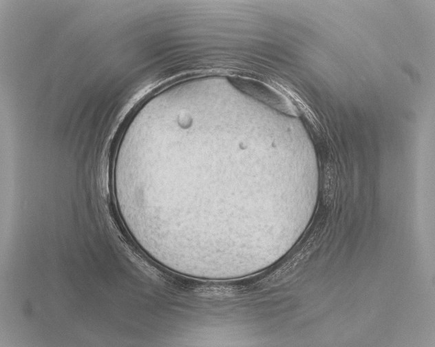 X0000115681083200912101128