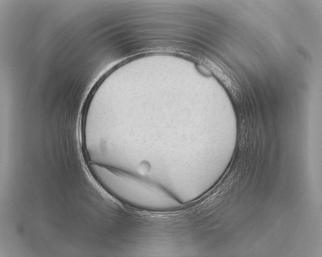 X0000115681084200912101128