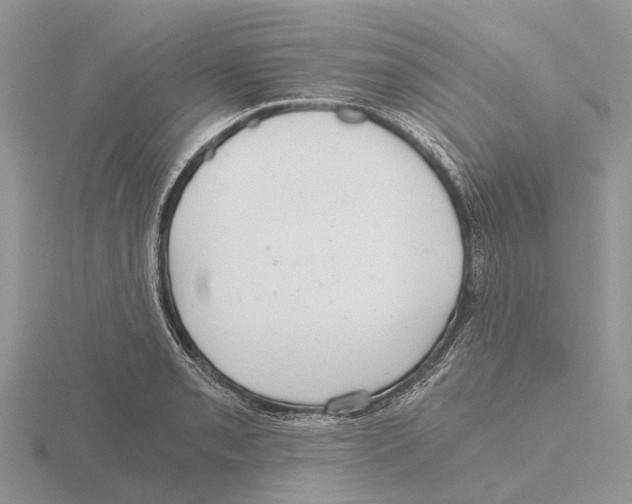 X0000115681085200912101128