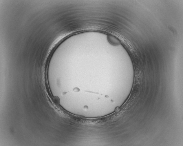 X0000115681086200912101128