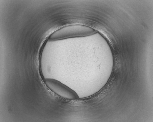 X0000115681088200912101128