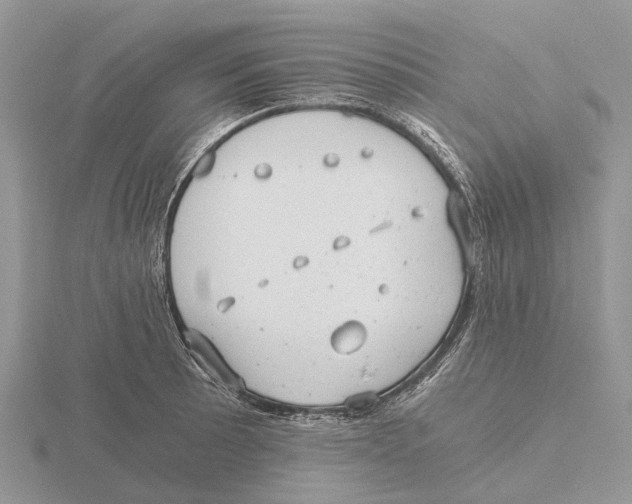 X0000115681089200912101128