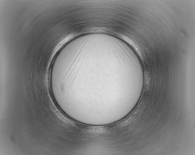 X0000115681090200912101128