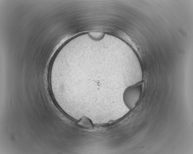 X0000115681091200912101128