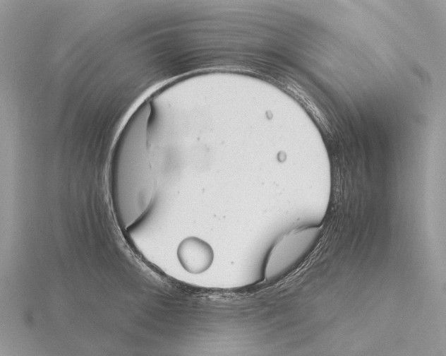 X0000115681092200912101128