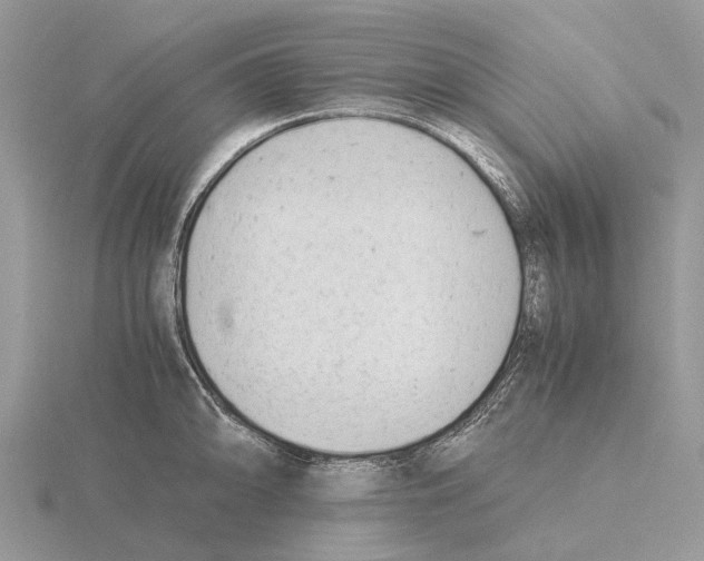 X0000115681094200912101128