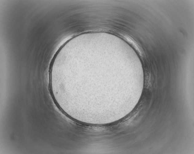 X0000115681095200912101128