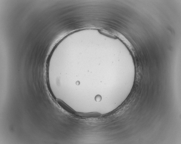 X0000115681096200912101128