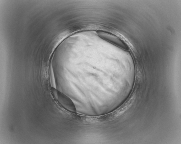 X0000115681097200912101128