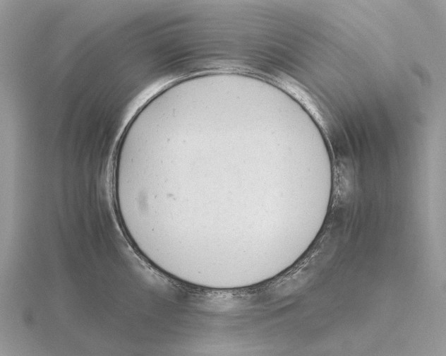 X0000115681098200912101128