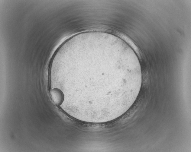 X0000115681099200912101128