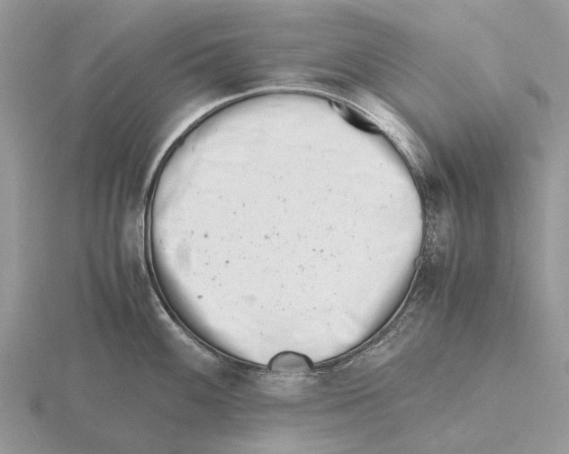 X0000115681100200912101128