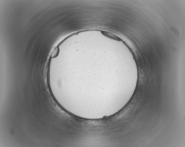 X0000115681102200912101128