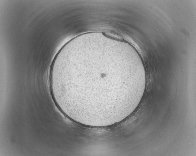 X0000115681103200912101128